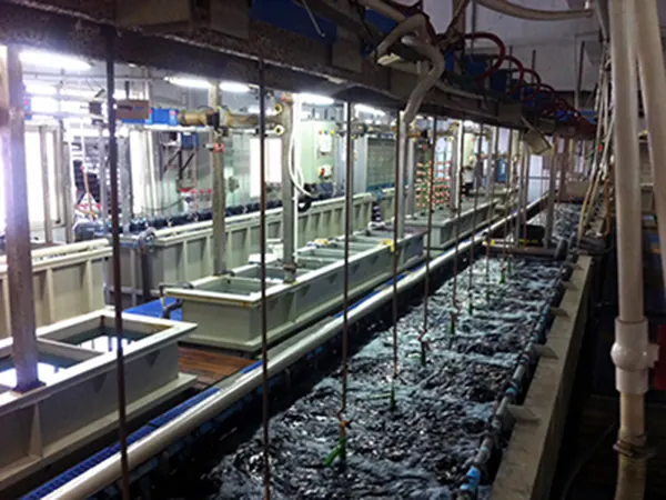 Electroplated finish: Plating process